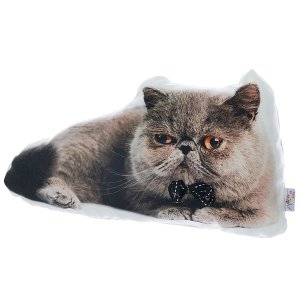 Homeroots.co 355568 Exotic Shorthair Cat Shape Decorative Throw Pillow