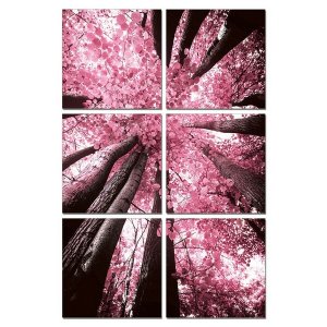 Homeroots.co 283995 24 Canvas 6 Panels Blossom Trees Color Photo