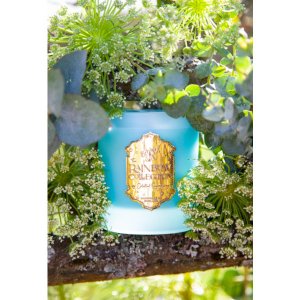 Celestial R-C2-FOREST Forest Breath Candle For Throat Chakra Pine Wint