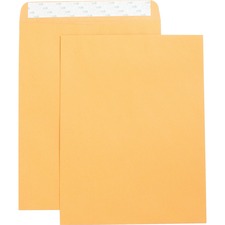 Business BSN 42121 Self Adhesive Kraft Catalog Envelopes - Catalog - 1