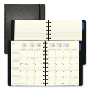 Rediform C1811003 Planner,filofx,17mnth,fsa