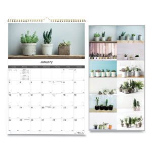 Rediform C173121 Calendar,2021,succulent