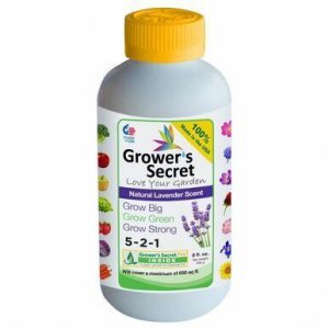 Growers GSGB8 Grower's Secret Grow Big 5-2-1 Concentrate Natural Laven