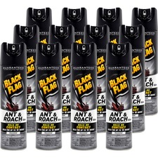 Diversey DVO CB110315CT Black Flag Ant  Roach Killer Spray - Spray - K