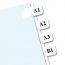 Reditag B39000 Redi-tag Laser Printable Index Tabs - 675 Blank Tab(s) 