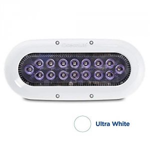 Oceanled 012308W X-series X16 - White Leds