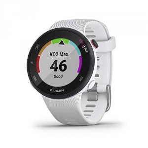 Garmin 010-02156-00 Forerunner 45s