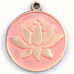 Gleeful RT-BLOOM-T-FLAM-NEC Bloom In Adversity Token Charm  Necklace