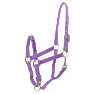 Choice 5-110736 Gatsby I Love My Horse Nylon Halter