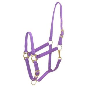 Choice 5-136683 Gatsby Adjustable Nylon Halter With Snap