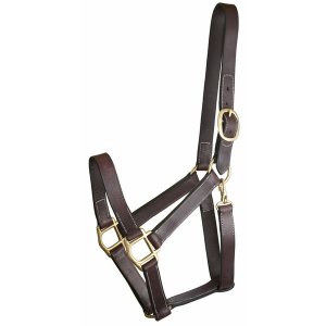 Choice 5-623100 Gatsby Track Style Turnout Halter With Snap