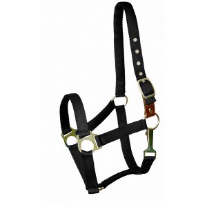 Choice 5-267142 Gatsby Ultra Soft Nylon Safety Halter