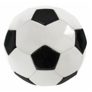 The 290-MINIS Autograph Mini Soccer Ball