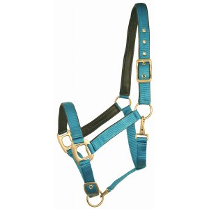 Choice 5-650144 Gatsby Leather Padded Adjustable Nylon Halter