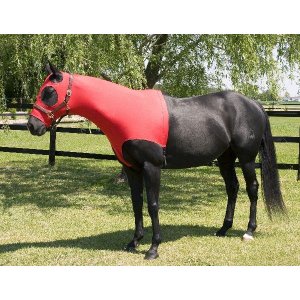 Choice 5-126304 Gatsby Lycra Mane Stay Hood