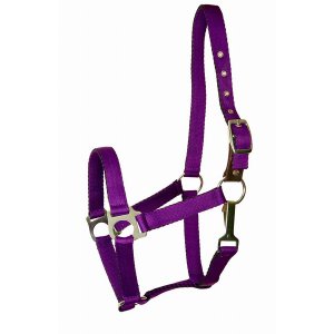 Choice 5-608077 Gatsby Ultra Soft Nylon Safety Halter