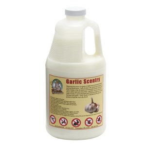 Ebrookmyer GAR-64 Just Scentsational Garlic Scentry Half Gallon