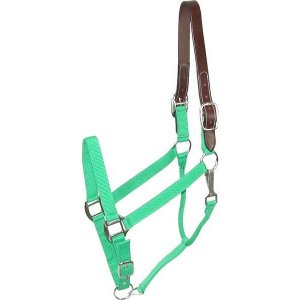 Choice 5-111304 Gatsby Classic Nylon Breakaway Halter With Snap