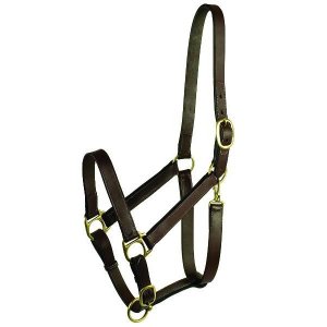 Choice 5-105600 Gatsby Adjustable Turnout Halter With Snap