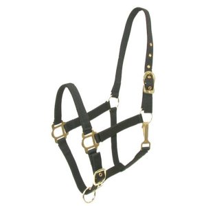 Choice 5-136675 Gatsby Adjustable Nylon Halter With Snap