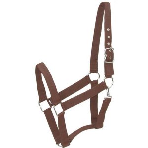 Choice 5-111571 Gatsby Nylon Draft Halter With Snap