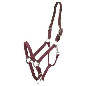 Choice 5-111324 Gatsby Classic Nylon Breakaway Halter With Snap