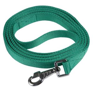 Choice 5-423711 Gatsby Nylon Lead With Snap