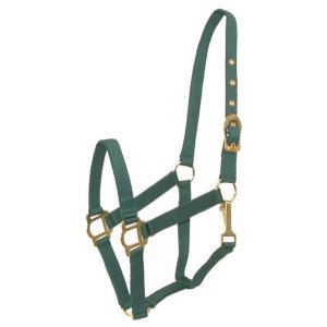 Choice 5-281298 Gatsby Classic Nylon Halter With Snap