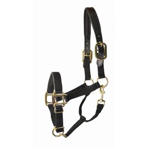 Choice 5-932551 Gatsby Premium Nylon Halter With Padded Leather Overla