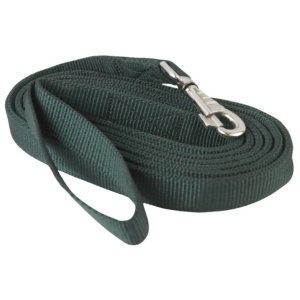 Choice 5-428310 Gatsby Nylon Lead With Snap