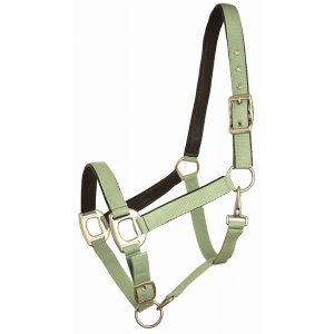 Choice 5-650148 Gatsby Leather Padded Adjustable Nylon Halter