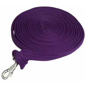 Choice 5-449977 Gatsby Cushion Web Lunge Line With Loop Handle