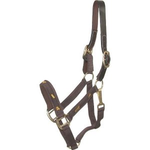 Choice 5-111254 Gatsby Nylon Breakaway Halter With Horse Overlay  Snap