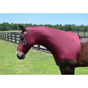 Choice 5-153138 Gatsby Lycra Mane Stay Hood