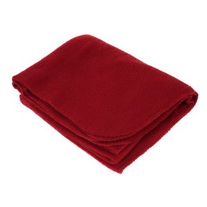 The 290-ASBBU Fleece Blanket