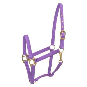 Choice 5-419658 Gatsby Classic Nylon Halter With Snap