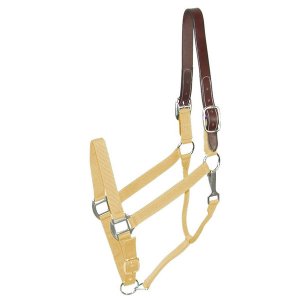 Choice 5-111325 Gatsby Classic Nylon Breakaway Halter With Snap