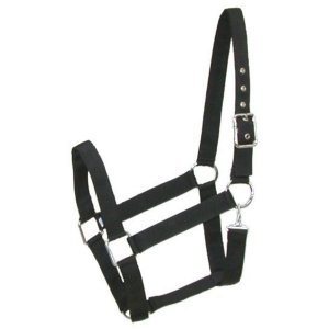 Choice 5-281302 Gatsby Nylon Draft Halter With Snap