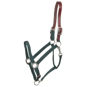 Choice 5-111326 Gatsby Classic Nylon Breakaway Halter With Snap