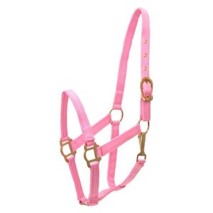 Choice 5-281300 Gatsby Classic Nylon Halter With Snap