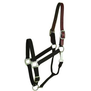 Choice 5-111311 Gatsby Classic Nylon Breakaway Halter With Snap