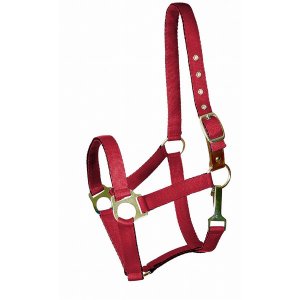 Choice 5-121180 Gatsby Ultra Soft Nylon Safety Halter