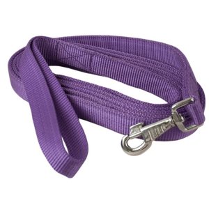 Choice 5-428313 Gatsby Nylon Lead With Snap