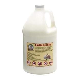 Ebrookmyer GAR-128 Just Scentsational Garlic Scentry One Gallon