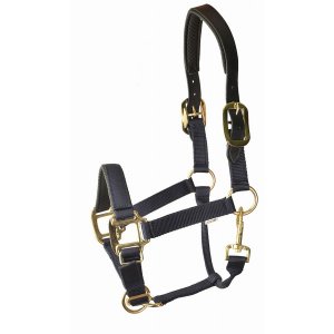 Choice 5-932574 Gatsby Premium Nylon Halter With Padded Leather Overla