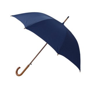 The 290-48WSR 49 Inch Lux Wood Umbrella