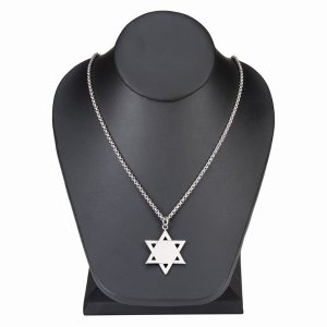 Creative 2463 Stainless Steel 1.375 Star Of David With 18 Stainless St