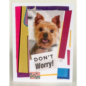 Barnes SQ6768261 Don't Worry Greeting Card (pack Of 6)