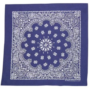 Fox 83-07 22 X 22 Bandanna 12 Pack - Navy Paisley