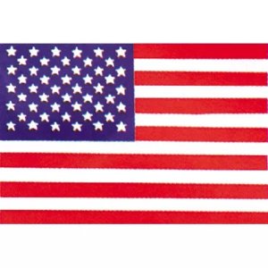 Fox 84-0246 4' X 6' United States Of America Flag